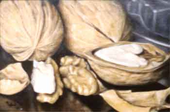 Noci